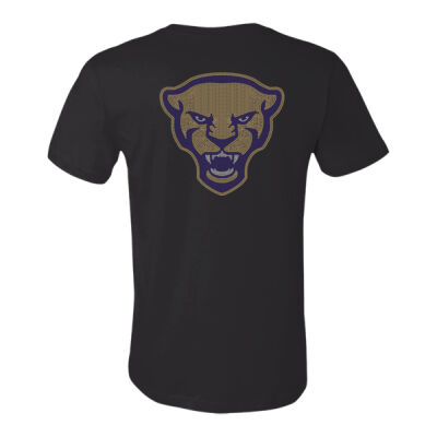 PITT UNIVERSITY Thumbnail