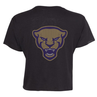 PITT UNIVERSITY LOGO Thumbnail