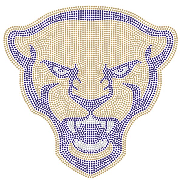 Pitt University Thumbnail