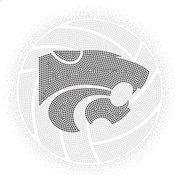 Edison Volleyball Thumbnail